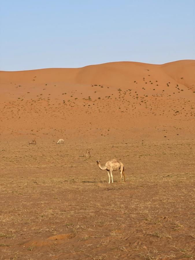 Thousand Stars Desert Camp Bidiya Luaran gambar