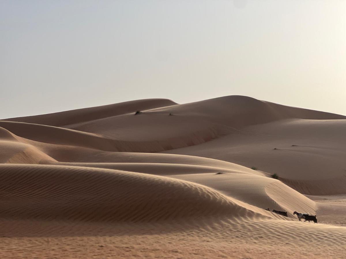 Thousand Stars Desert Camp Bidiya Luaran gambar