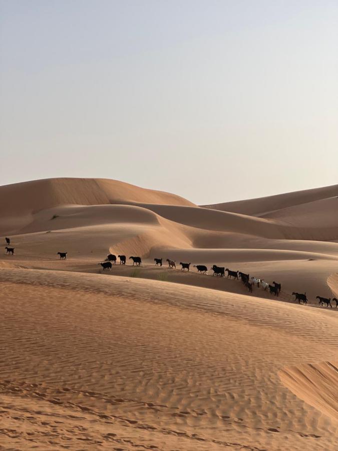 Thousand Stars Desert Camp Bidiya Luaran gambar