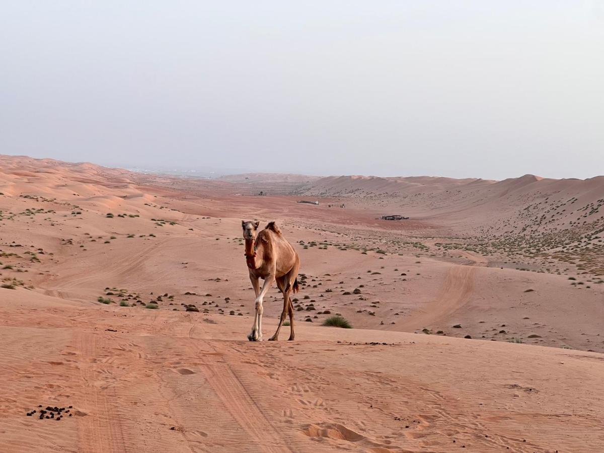 Thousand Stars Desert Camp Bidiya Luaran gambar
