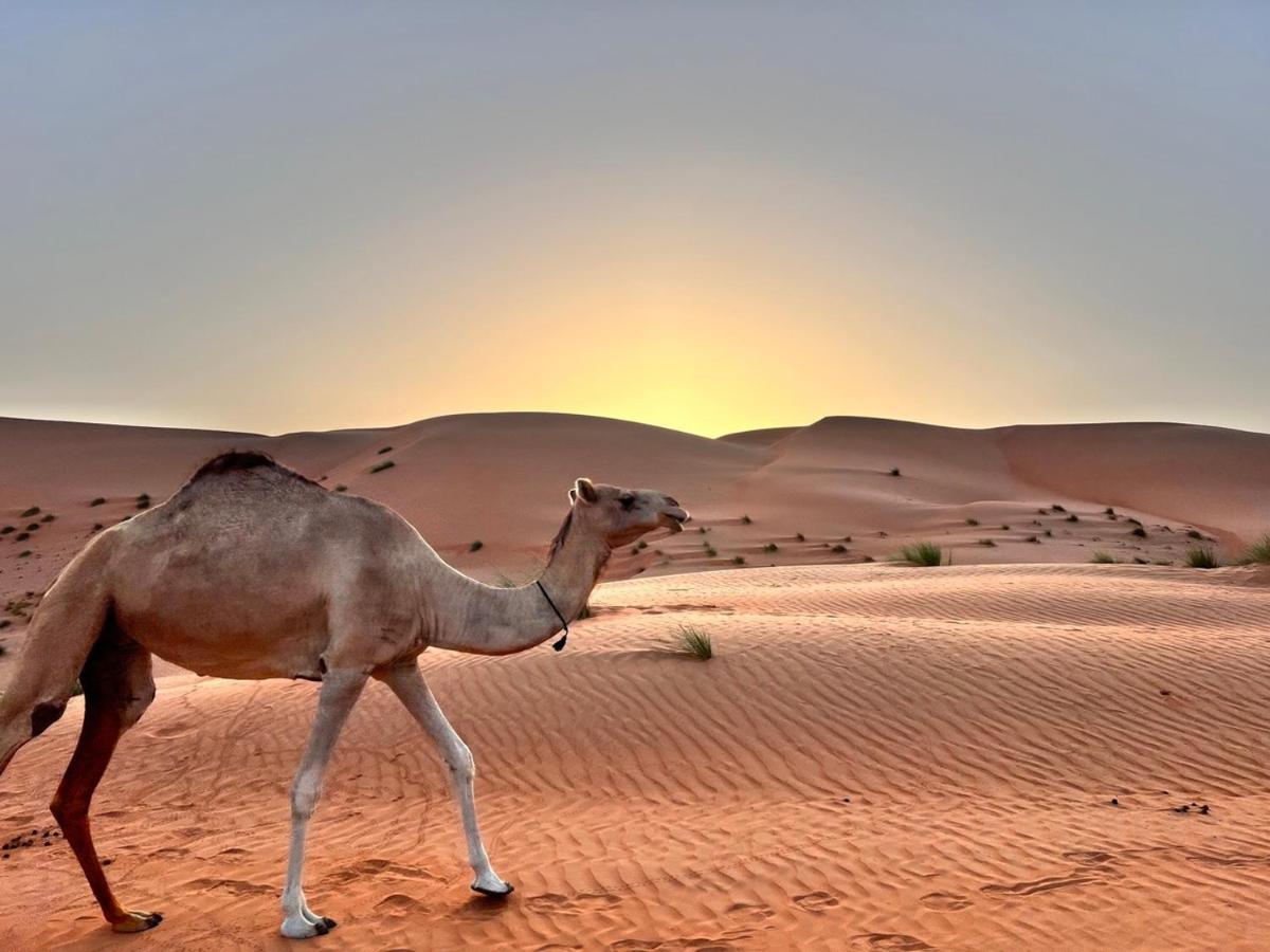 Thousand Stars Desert Camp Bidiya Luaran gambar