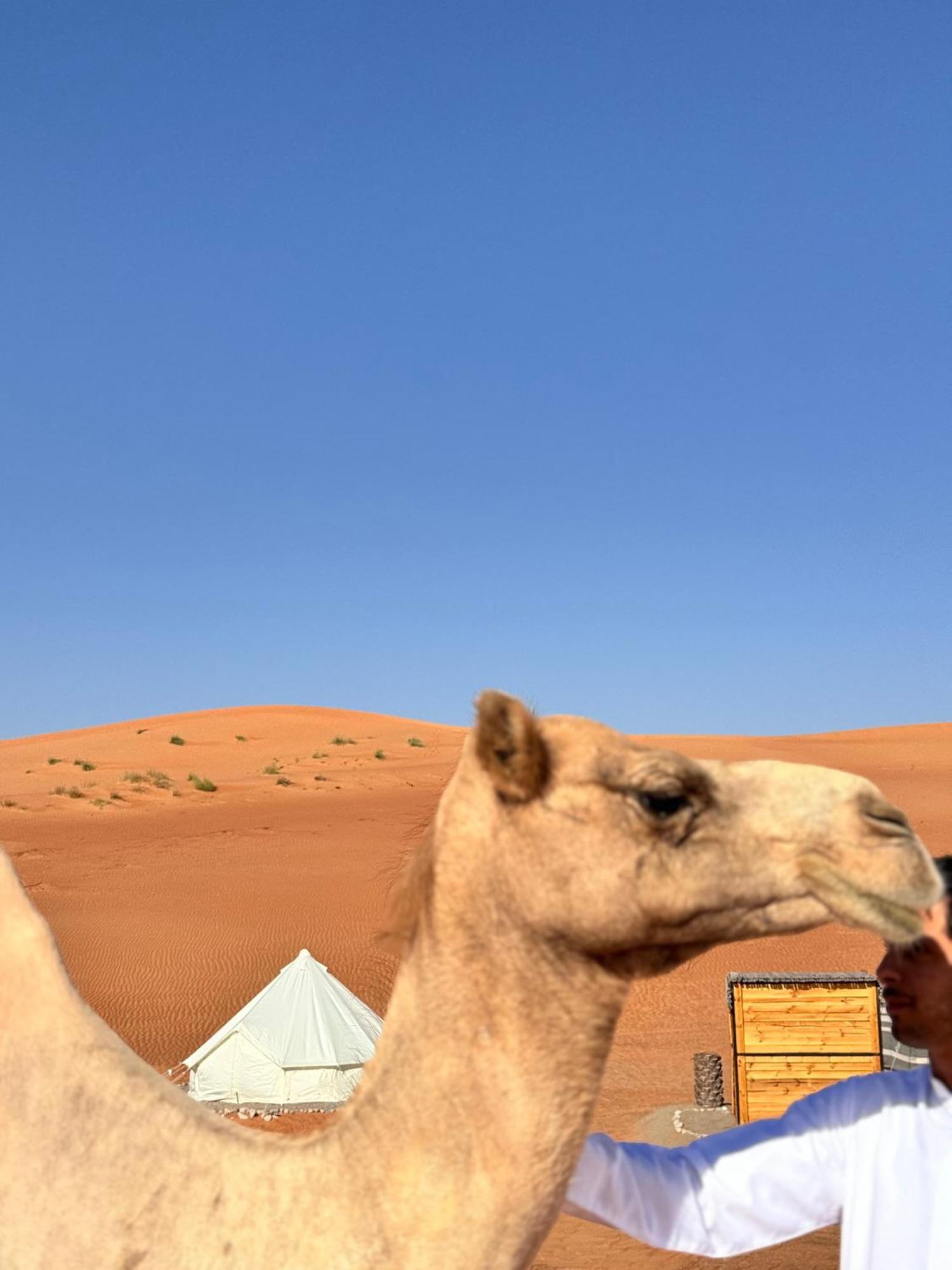 Thousand Stars Desert Camp Bidiya Luaran gambar
